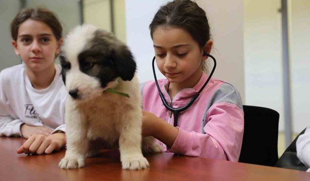Sokak Hayvanlarına Sevgi Dolu Dokunuş: Çocuklar Bir Günlüğüne Veteriner Oldu