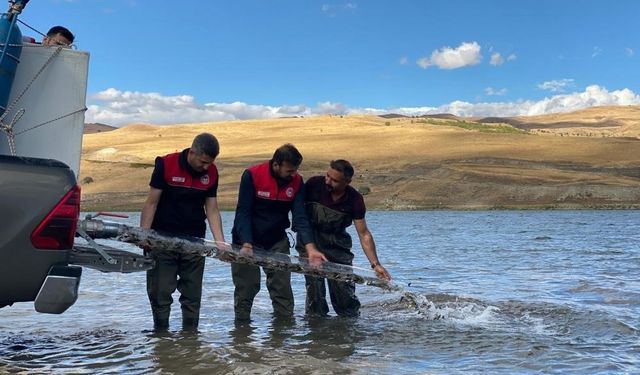 Milyonlarca balık deniz, göl ve göletlere bırakıldı