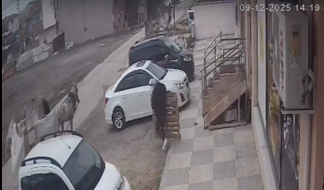 Bina malzemelerini at arabasıyla götürürken kameraya yakalandılar