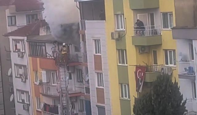 Ev yangınında kediler telef oldu
