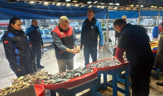 Tezgaha Uskumru yazdılar, kolyoz çıktı