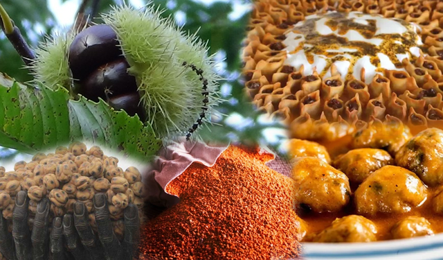 Bu Lezzetler Kütahya’dan Çıkıyor! Yerli Malı Haftası’nda Damak Çatlatan Liste