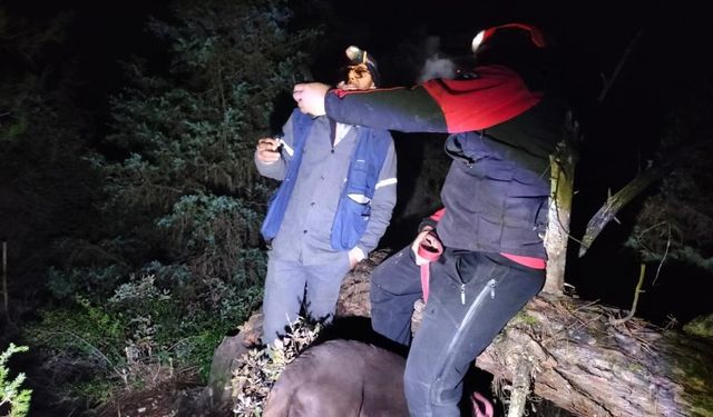 Sağır ve dilsiz adam mantar aradığı ormanda kayboldu