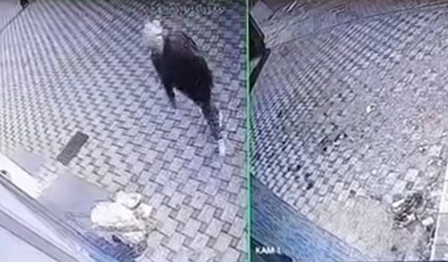 Pazar arabasını çalan şüpheliler kameraya yakalandı