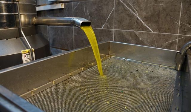 Zeytinyağı fiyatları arttı