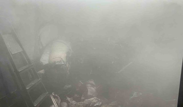 Kediler ısınsın diye kullanılan elektrikli ısıtıcı yangına sebep oldu