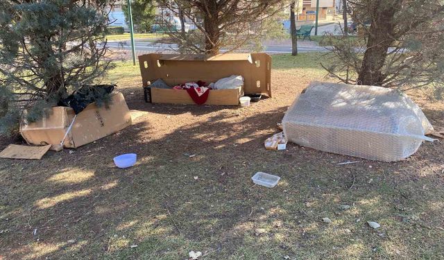 Kışın zorlu şartlarına karşı can dostlar için sıcak yuvalar hazırlandı