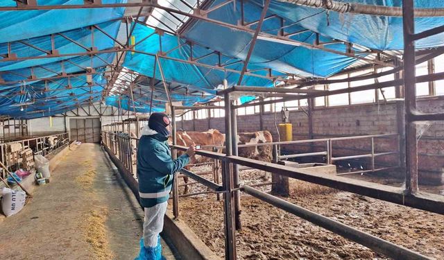 Tavşanlı’da Çiftçiye Yakın Takip: İşletmeler Tek Tek İnceleniyor