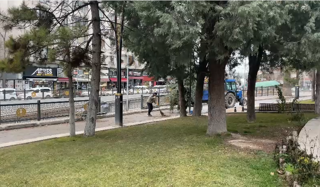 Kütahya’da Şiddetli Rüzgar Azerbaycan Parkı’nda Ağacı Devirdi