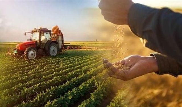 Çiftçilerin beklediği gün geldi: 129,3 milyon liralık tarımsal destek bugün hesaplarda