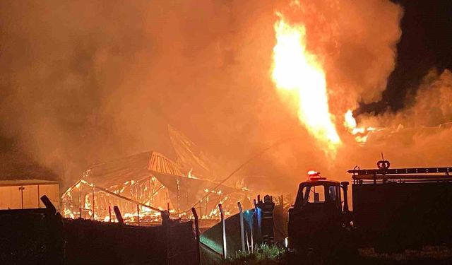 Bağ evindeki yangın büyüdü: Alevler yanındaki yapıya sıçradı