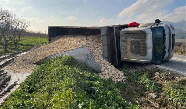 Yüklü çekici yan yattı: Mısır koçanları yola saçıldı