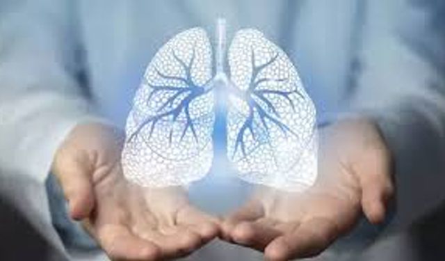 Solunum sıkıntısı yaşayanlar dikkat: Akciğerleri koruyan 10 besin açıklandı