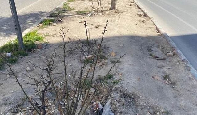 Kütahya  Menderes Caddesi’nde Refüj Krizi: Sorumlu Kim?