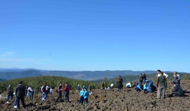 Emet’te doğaya nefes: Zeytin fidanları dikildi