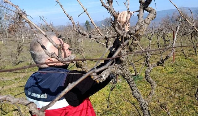 Simav’da yem bitkileri ve hububatta verim analizi