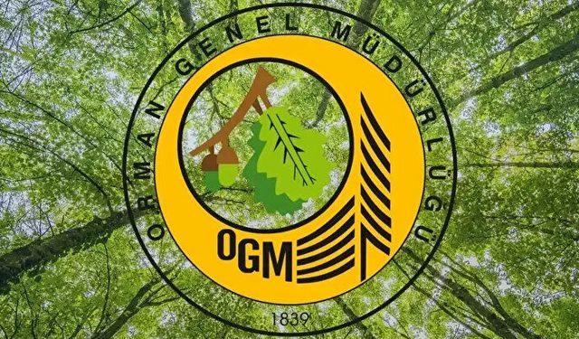 KÜTAHYA ORMAN BÖLGE MÜDÜRLÜĞÜ, MÜHENDİS ALIMI İŞİ