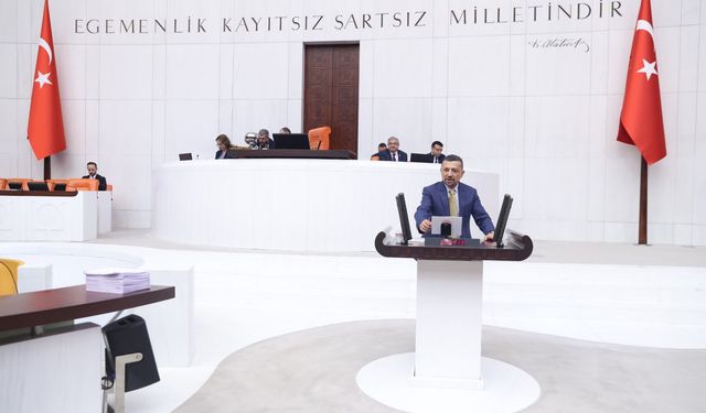 Erbaş’tan TBMM’de dikkat çeken çıkış: Altıntaş’taki projeye tepki gösterdi