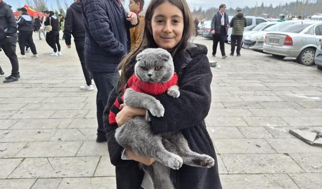 Stadyumda gören dönüp baktı: Kedisiyle maça geldi
