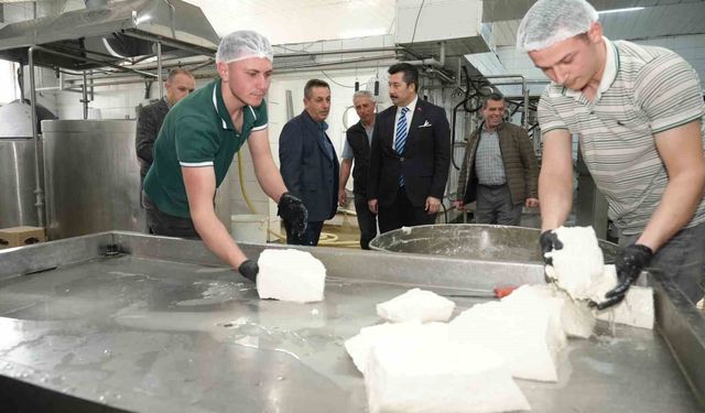 Kütahya’da üretim gücü şaşırtıyor: Her gün 3,5 ton süt işleniyor