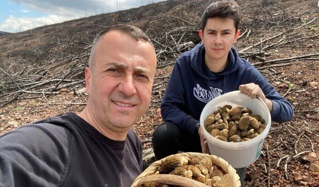 Kütahya'da mantar vatandaşların yüzünü güldürdü: ''Çok bereketli bir gün oldu''