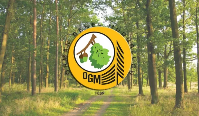 ORMANCILIK ÇALIŞMALARININ TAKİBİ VE KONTROLÜ HİZMETİ ALINACAKTIR