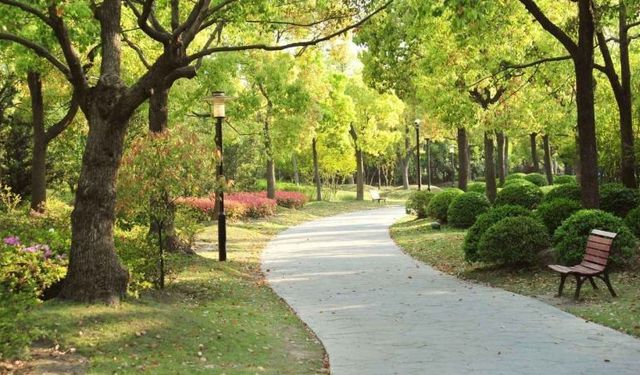 ÇEVRE DÜZENLEME İŞLERİ YAPTIRILACAKTIR