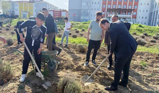 Çavdarhisar’da geleceğin üreticileri lavanta fidelerini toprakla buluşturdu