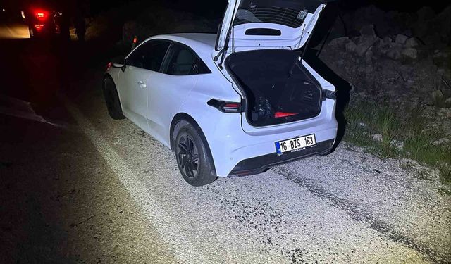 Trafikte beklenmedik an: Yola çıkan köpek kazaya yol açtı