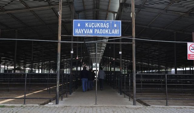 Kütahya’da kurban pazarı heyecanı başladı: 188 üretici başvurdu