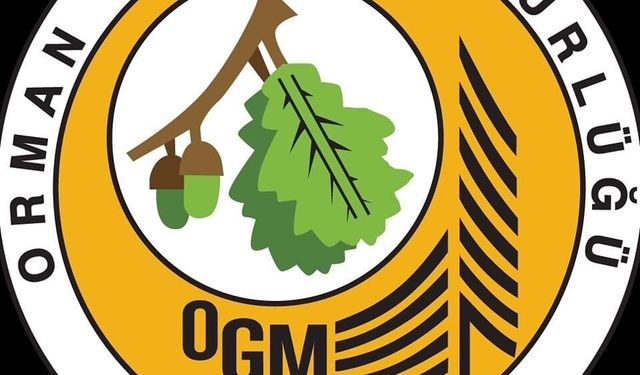 Kamuda dev iş müjdesi yakın: OGM'den, 3 bin personel alımı geliyor