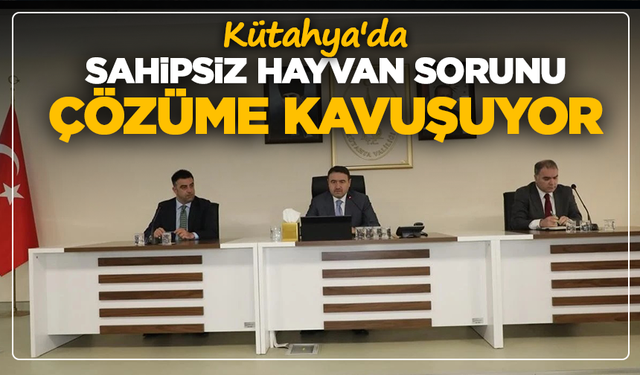 Kütahya'da sahipsiz hayvan sorunu çözüme kavuşuyor