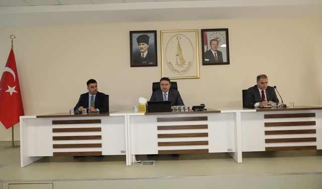 Kütahya'da sahipsiz hayvan sorunu çözüme kavuşuyor
