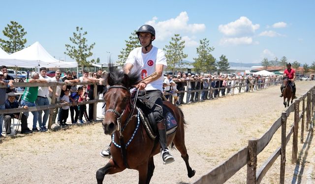 15 İlden 96 At Tavşanlı'da Yarıştı, Heyecan Zirveye Çıktı