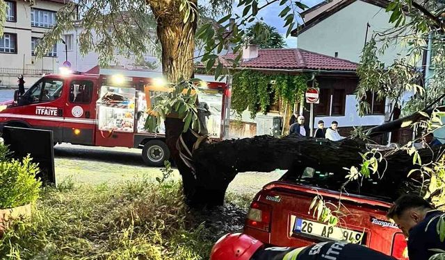 Araç üzerine düşen ağaç itfaiye ekiplerinin titiz çalışmasıyla kaldırıldı