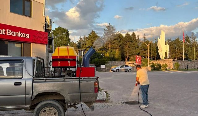 Dumlupınar'da haşere alarmı: İlaçlama çalışmaları hız kazandı