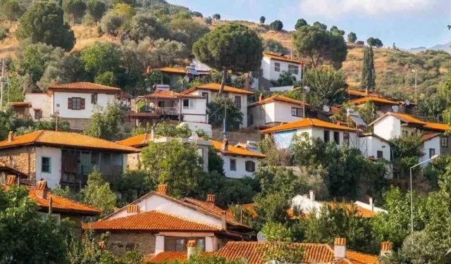 Kütahya'da köylere kesenin ağzı açıldı: Hangi ilçe ne kadar ödenek alacak?
