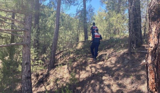 Kütahya'da Orman Yangını Alarmı! Jandarma Teyakkuza Geçti