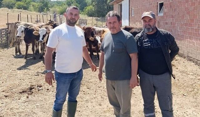 Tunçbilek'te daha sağlıklı hayvancılık için ilaçlama yapıldı