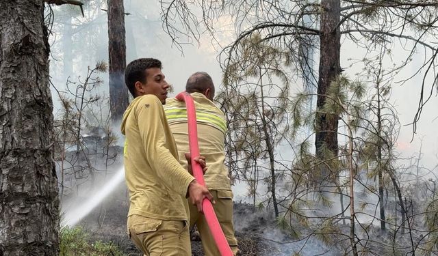 Kütahya'da helikopter yetişti: Orman yangını kontrol altına alınarak söndürüldü