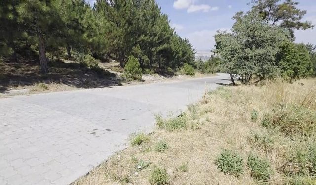 Kütahya’da Manzara Keyfi Kabusa Döndü! Şahintepesi’nde Mahalleliyi Korkutan Görüntü