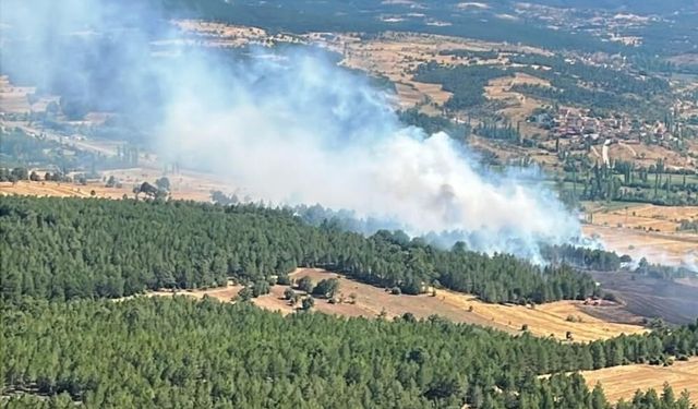 Kütahya’da Orman Yangını! Alevlerin Yayılması Son Anda Önlendi