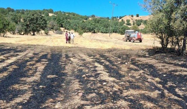 Kütahya’da Anız Yangını: Köylülerin Hızlı Müdahalesi Felaketi Önledi