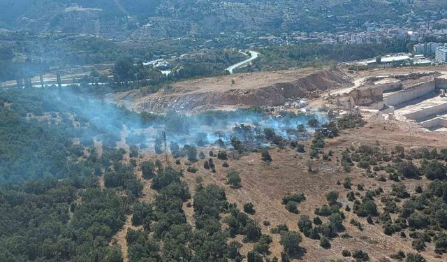 Bilecik'te ormanlık alanda başlayan yangın kontrol altına alındı