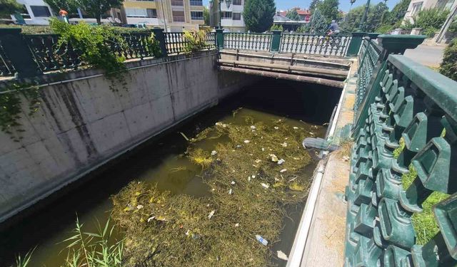 Porsuk Çayı'ndaki çöp kirliliği dikkat çekti