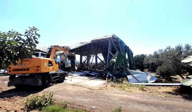 Zeytinliğe yapılan kaçak depo böyle yıkıldı
