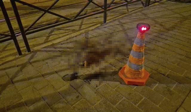 Tartıştığı eski sevgilisini bıçakladı