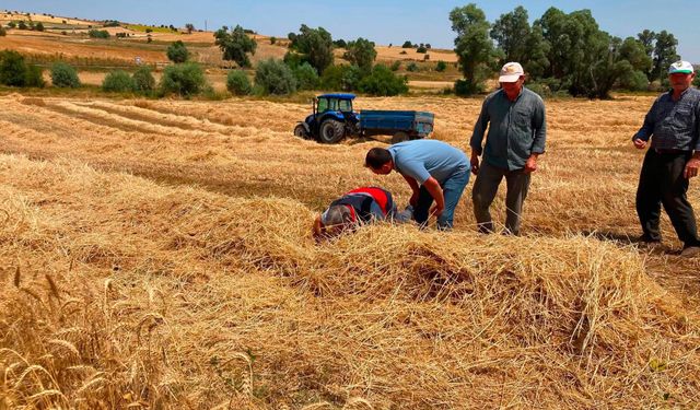 Kütahya tarımında ürün kaybına geçit yok: Denetimler hasat sezonu boyunca sürecek