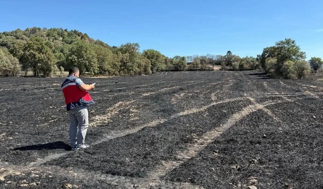 Domaniç'te korkunç yangın sonrası hasar tespiti çalışmaları başladı