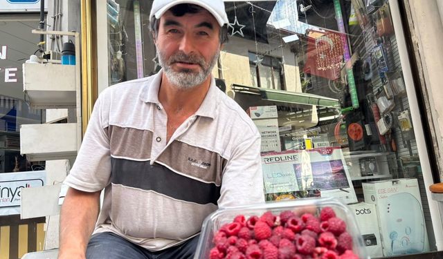 Tavşanlı'da üretici 900 metrelik hat kurdu: Kıraç topraklardan süper meyveyi çıkardı